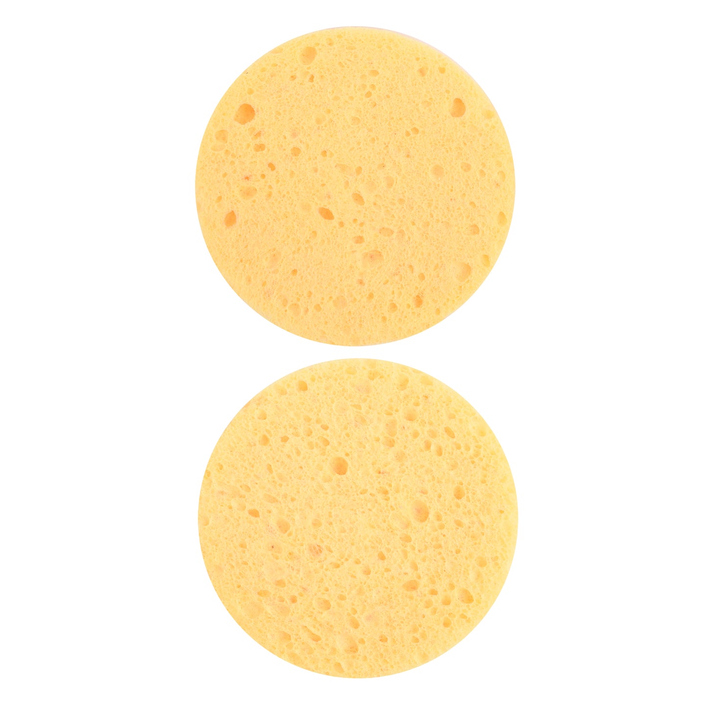 Imitation Sea Sponge S-20