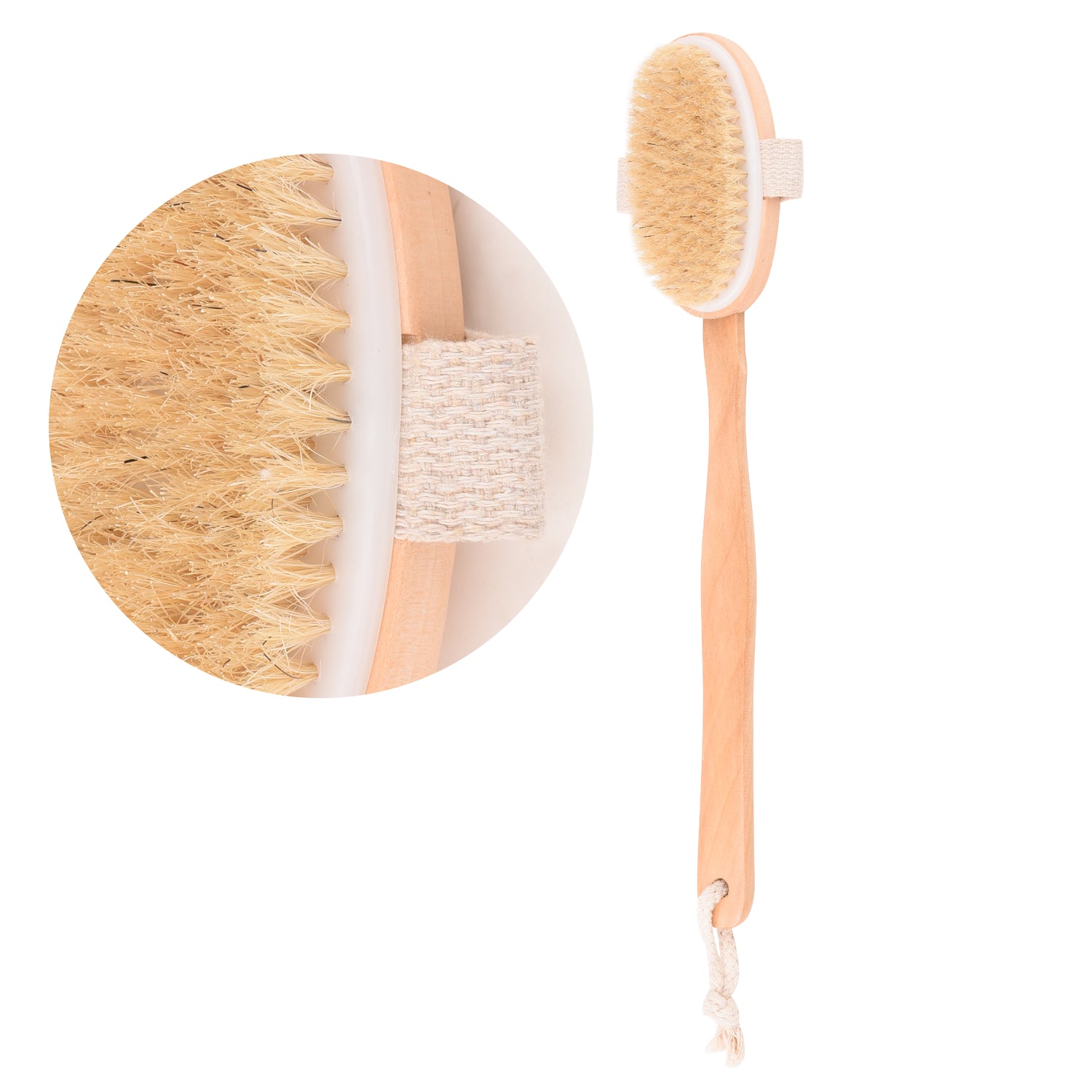 Bath brush Shower brush Body brush Back brush Long handle bath brush Wooden bath brush Bristle bath brush Spa bath brush Exfoliating bath brush Soft bath brush