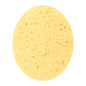 Imitation Sea Sponge S-20-1