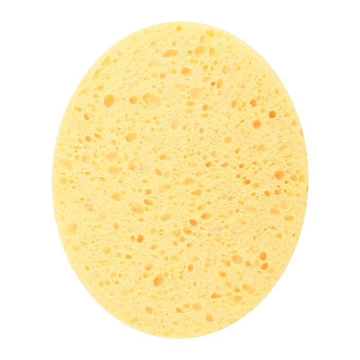 Imitation Sea Sponge S-20-1