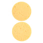Imitation Sea Sponge S-20